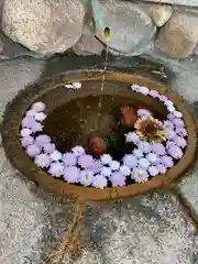 生田神社の手水