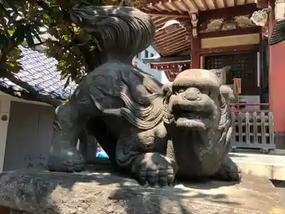 千住本氷川神社の狛犬