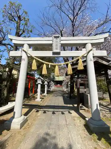 芳川神社の鳥居