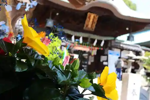 三津厳島神社(愛媛県)