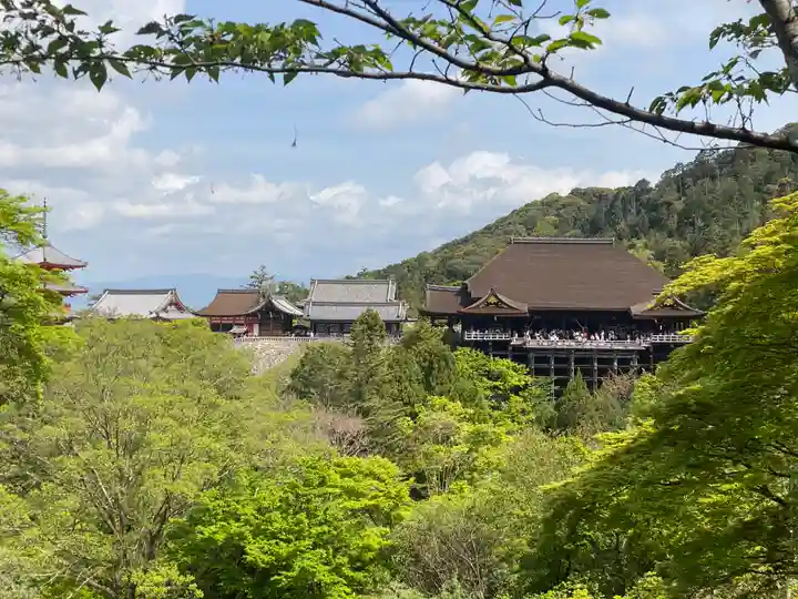 清水寺の景色