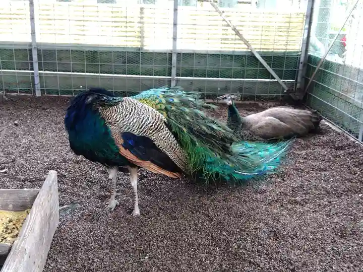 福井県護国神社(福井県)
