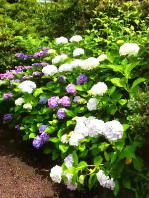 白金氷川神社(東京都)