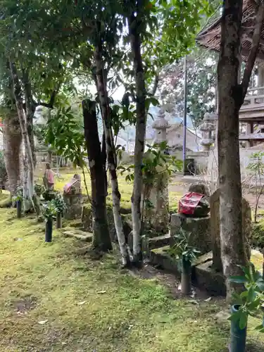 金剛城寺(兵庫県)