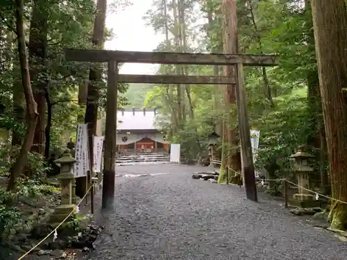 椿大神社の鳥居