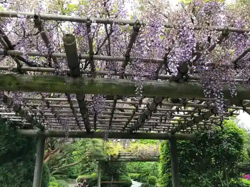 蓮光寺の庭園