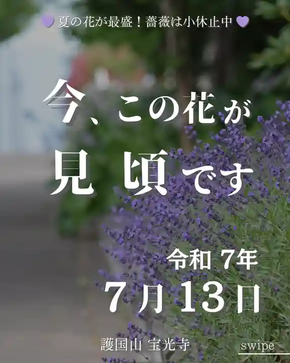 宝光寺(北海道)