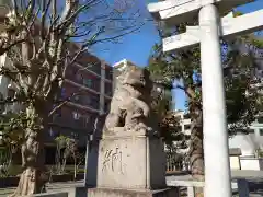 大棚・中川杉山神社の狛犬