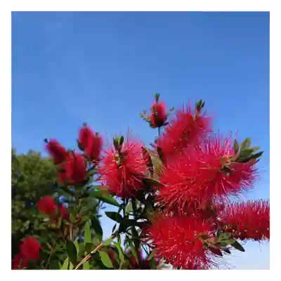 岐阜稲荷山本社(岐阜県)