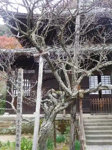 瑞泉寺のその他建物