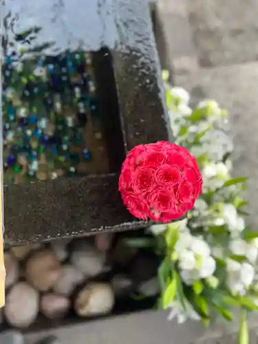 上尾御嶽神社の手水