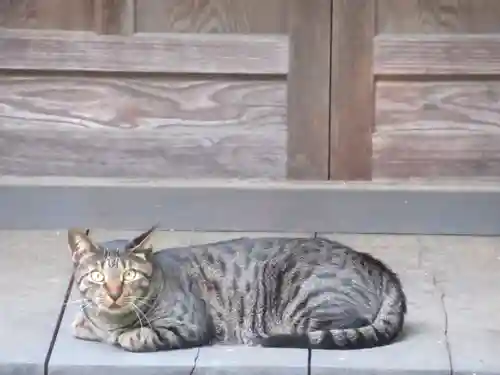 普門寺(東京都)