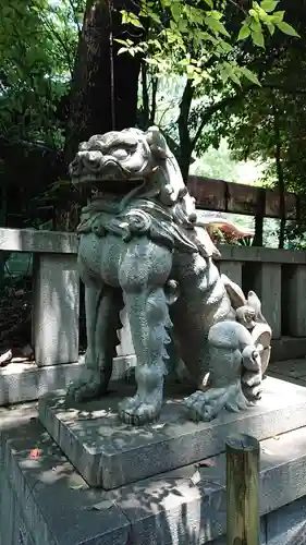 渋谷氷川神社の狛犬