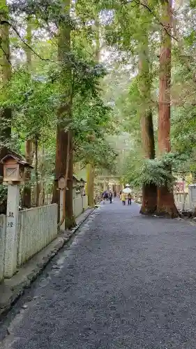 椿大神社の{uncategorized: "未分類", other: "その他", undefined: "問題あり", building: "その他建物", grave: "お墓", sacred_gate: "鳥居", guardian: "狛犬", statue: "像", buddha: "仏像", history: "歴史", nature: "自然", garden: "庭園", animal: "動物", pagoda: "塔", temizu: "手水舎", mountain_gate: "山門・神門", sanctuary: "本殿・本堂", subordinate: "末社・摂社", art: "芸術", scenery: "景色", jizo: "地蔵", ema: "絵馬", goshuin: "御朱印", omikuji: "おみくじ", items: "授与品その他", amulet: "お守り", goshuincho: "御朱印帳", eats: "食事", festival: "お祭り", votive_dance: "神楽", shichigosan: "七五三参", wedding: "結婚式", experience: "体験その他", initially: "初詣", around: "周辺", anti_infection: "感染症対策"}