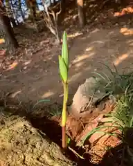 滑川神社 - 仕事と子どもの守り神の自然