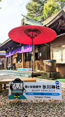 鳩ヶ谷氷川神社(埼玉県)