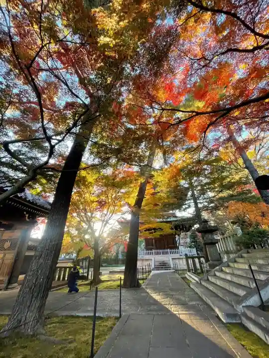 三寳寺(東京都)