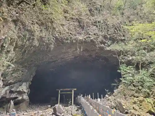 天岩戸神社の自然