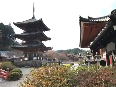 南法華寺（壷阪寺）(奈良県)