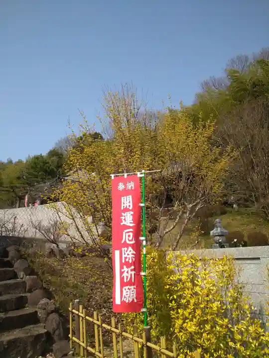 駕龍寺の自然