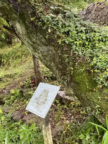 熊野神社の自然