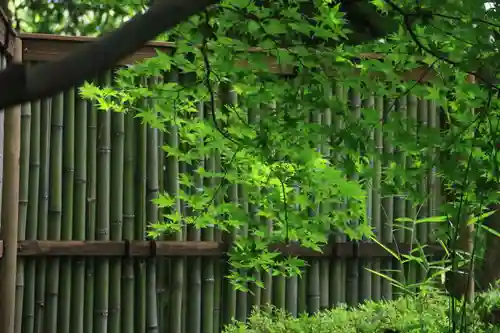 神炊館神社 ⁂奥州須賀川総鎮守⁂の庭園