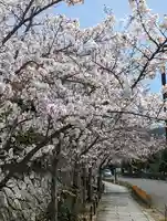 くろ谷 金戒光明寺(京都府)