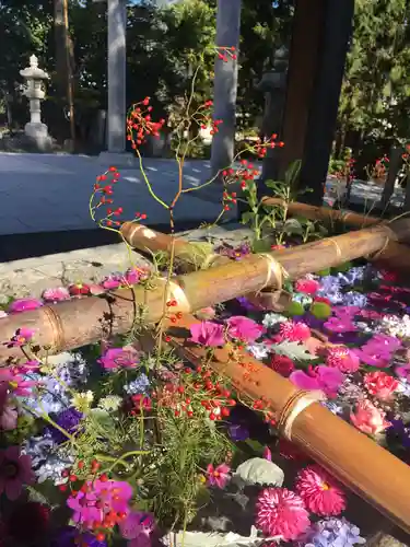 住吉神社の手水