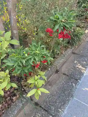光照寺(神奈川県)