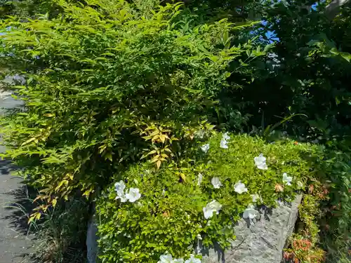 天然寺の自然