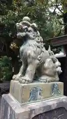 青山熊野神社の狛犬