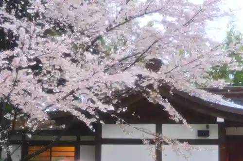 阿佐ヶ谷神明宮(東京都)