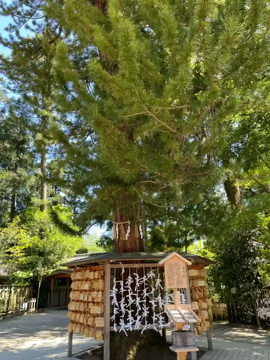 大崎八幡宮(宮城県)
