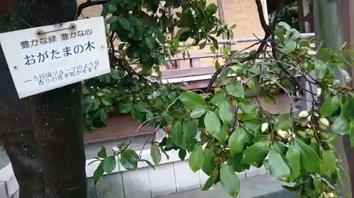 大鳥神社の庭園