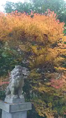 壹宮神社の狛犬
