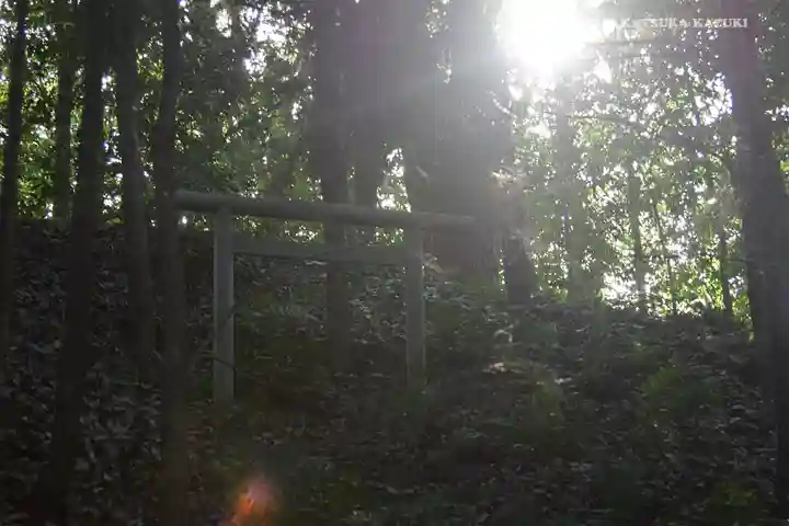 寒川神社の鳥居