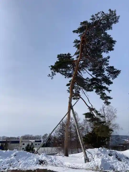追分八幡神社(北海道)