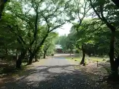 熊野神社の建物その他