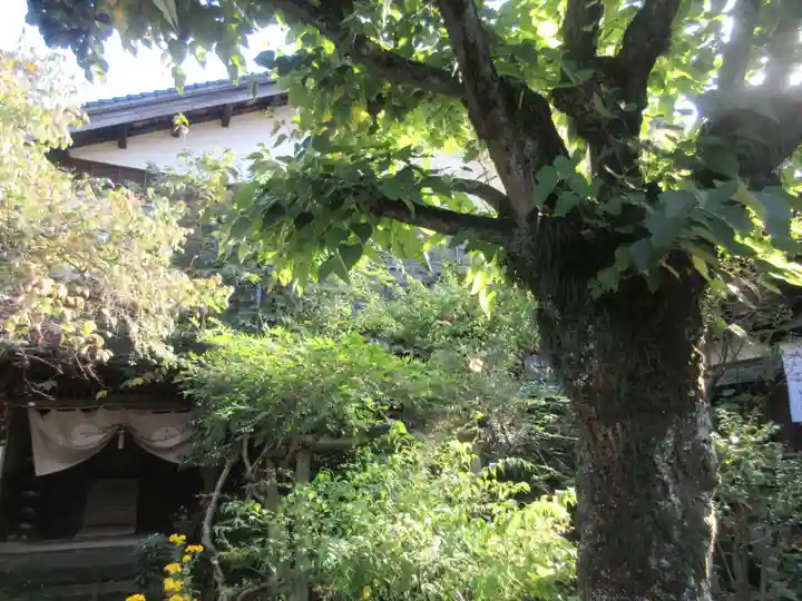 願念寺(石川県)