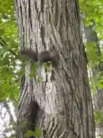 置戸神社(北海道)
