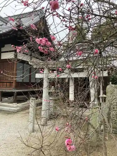 鶴岡八幡神社の鳥居