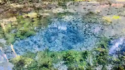 白川吉見神社(熊本県)
