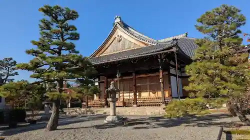 妙蓮寺(京都府)
