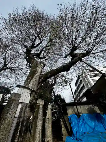 宇賀神社(京都府)