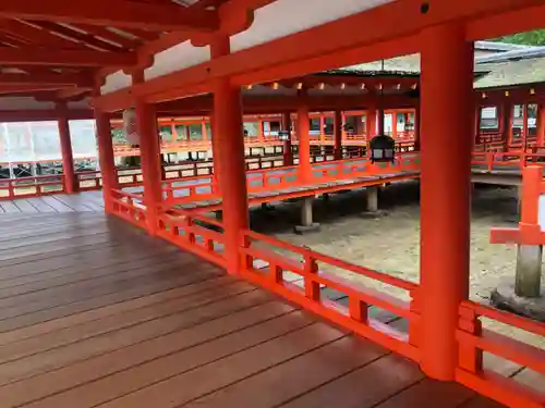 出雲大社(島根県)