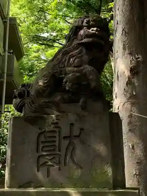 田無神社の狛犬