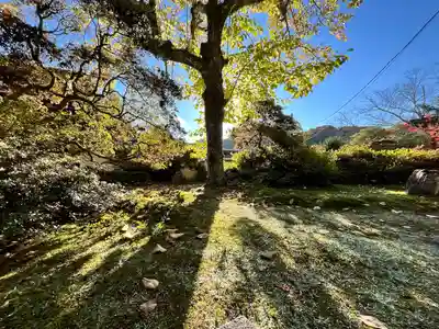 弘川寺(大阪府)