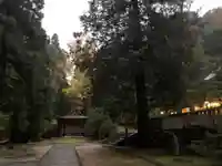 武蔵二宮 金鑚神社の自然