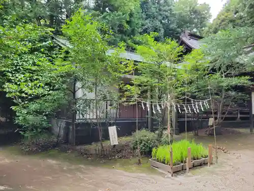 氷川女體神社のその他建物