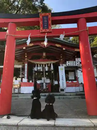 熊本城稲荷神社の鳥居